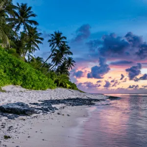 Beach Walk - Fragrance Oil for Candle & Soap Making