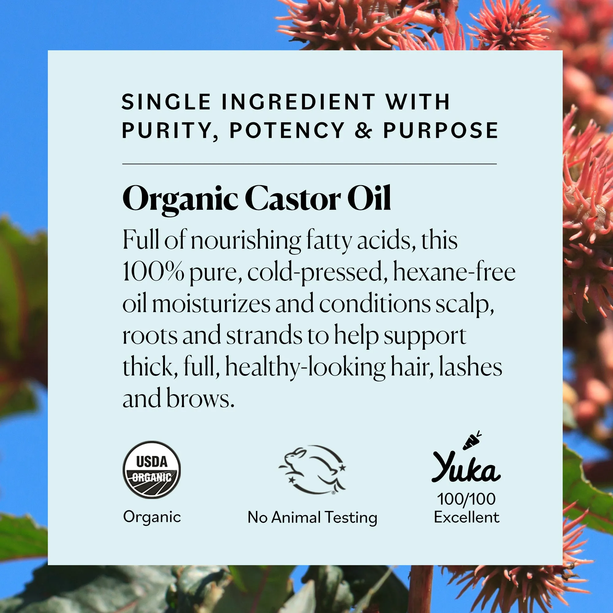 Organic Castor Oil Eyelash Serum